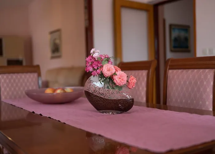 Apartment Zadar Zadar